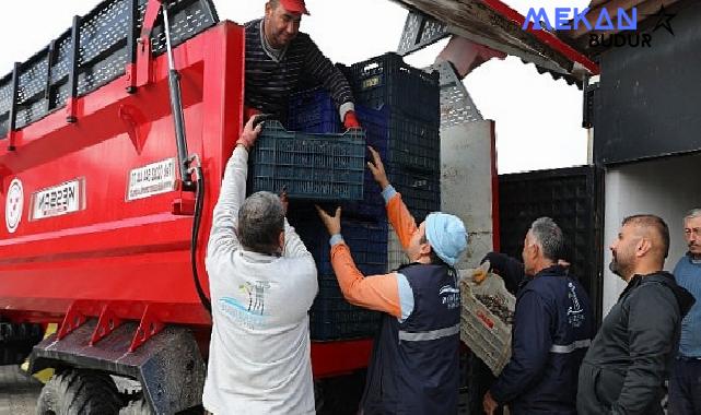 Seferihisar’da Zeytinyağı Sezonu Açıldı