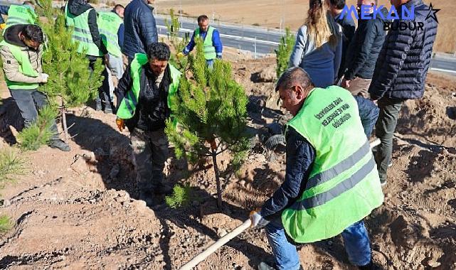 Sivas Belediyesi anlamlı bir çalışmaya imza atarak mevsimlik işçiler adına hatıra ormanı oluşturdu.