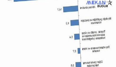 Tüik: Çevre koruma harcamaları 224,6 milyar TL olarak gerçekleşti