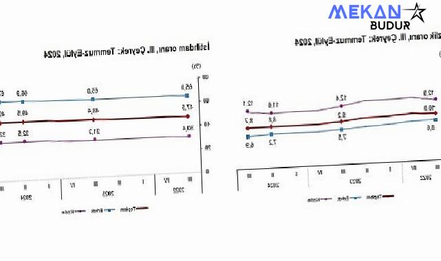 Tüik: Mevsim etkisinden arındırılmış işsizlik oranı %8,7 seviyesinde gerçekleşti