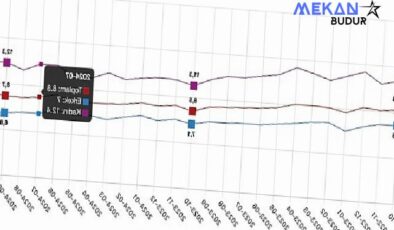 Tüik: Mevsim etkisinden arındırılmış işsizlik oranı %8,8 seviyesinde gerçekleşti