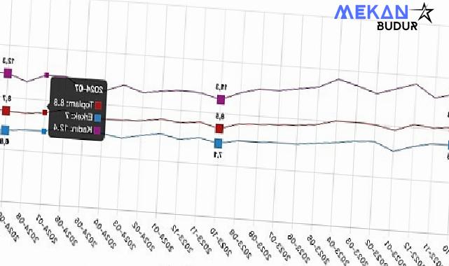 Tüik: Mevsim etkisinden arındırılmış işsizlik oranı %8,8 seviyesinde gerçekleşti