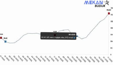 Tüik: Tarım ürünleri üretici fiyat endeksi (Tarım-ÜFE) yıllık %46,91 arttı, aylık %8,88 arttı