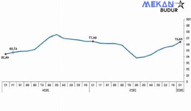 Tüik: Tüketici fiyat endeksi (TÜFE) yıllık %44,38, aylık %1,03 arttı