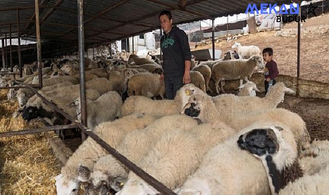 Yangın mağduru çiftçilere 225 ton yem desteği